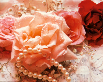 Pink Rose And Pearls by Bruce Curtis Pricing Limited Edition Print image