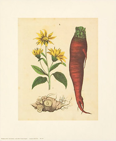 Red Beet by Cawler Pricing Limited Edition Print image