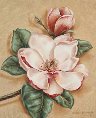 Magnolia Blush I by Waltrand Von Schwarzbek Pricing Limited Edition Print image