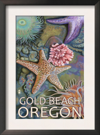 Gold Beach, Oregon Tidepools, C.2009 by Lantern Press Pricing Limited Edition Print image
