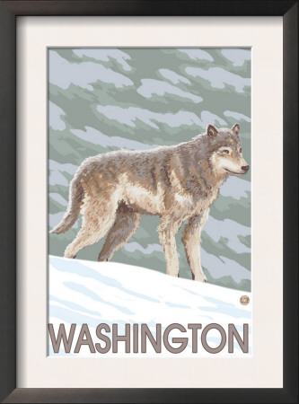 Wolf Scene - Washington, C.2009 by Lantern Press Pricing Limited Edition Print image