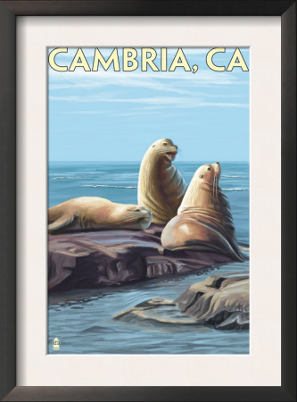 Cambria, California - Sea Lions, C.2009 by Lantern Press Pricing Limited Edition Print image