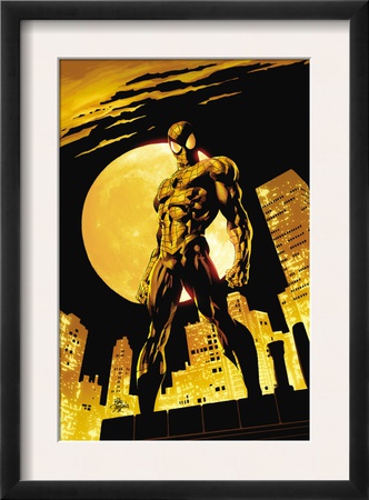 Amazing Spider-Man #528 Cover: Spider-Man by Mike Deodato Jr. Pricing Limited Edition Print image