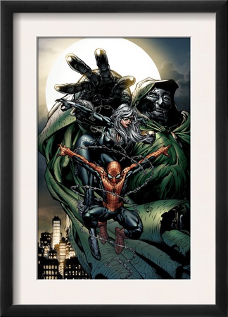 Spider-Man Unlimited #14 Cover: Black Cat, Dr. Doom And Spider-Man by David Finch Pricing Limited Edition Print image