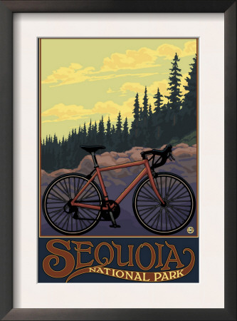 Sequoia Nat'l Park - Bike And Trail - Lp Poster, C.2009 by Lantern Press Pricing Limited Edition Print image