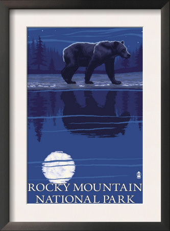 Rocky Mountain National Park, Co - Bear At Night, C.2009 by Lantern Press Pricing Limited Edition Print image