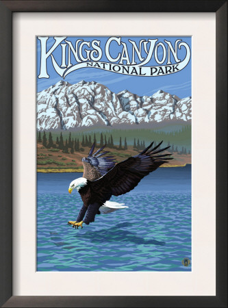 Kings Canyon Nat'l Park - Eagle Fishing - Lp Poster, C.2009 by Lantern Press Pricing Limited Edition Print image