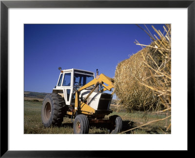 Farmer Hauling Bales Of Hay, Bc, Canada by Troy & Mary Parlee Pricing Limited Edition Print image