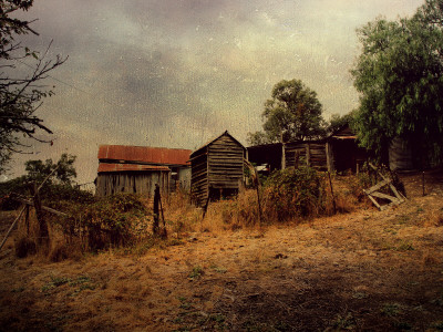 Shack #9 by Tracy Edgar Pricing Limited Edition Print image