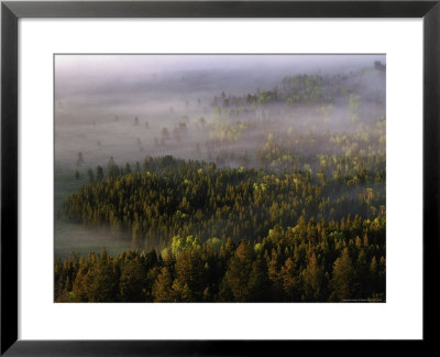 Jackson Hole Valley, Wy by Stephen Saks Pricing Limited Edition Print image