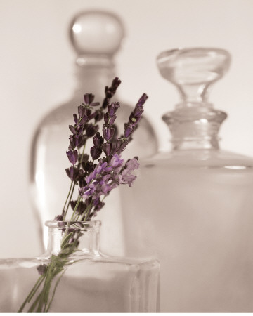 Lavender Detail by Julie Greenwood Pricing Limited Edition Print image