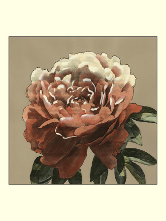 Heirloom Rose Ii by Chariklia Zarris Pricing Limited Edition Print image