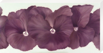 Violet Flower Iii by Yvonne Poelstra-Holzhaus Pricing Limited Edition Print image