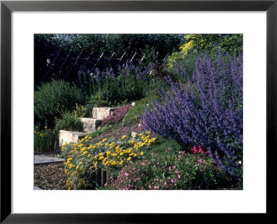 Perennial Garden by David Burch Pricing Limited Edition Print image