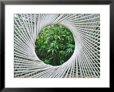 Hemp Rope Fence by John Beedle Pricing Limited Edition Print image