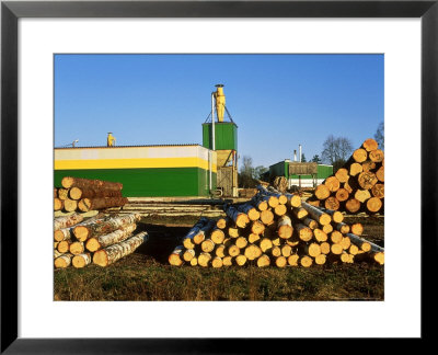 Estonian Forestry Operations, Tartumaa, Estonia by Niall Benvie Pricing Limited Edition Print image