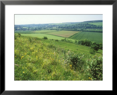 View From The Heights Of Hod Hill, England, Uk by David Boag Pricing Limited Edition Print image