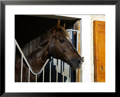 Stallion Looking Out Of Stable, France by Alain Christof Pricing Limited Edition Print image