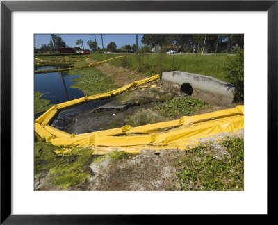 Floating Yellow Barriers In Borrow Pit Pond Control Runoff From Construction Site, Sarasota, Fl by David M. Dennis Pricing Limited Edition Print image