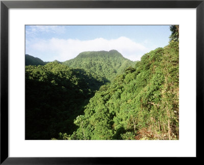 Eufato Reserve, South Pacific by Patricio Robles Gil Pricing Limited Edition Print image