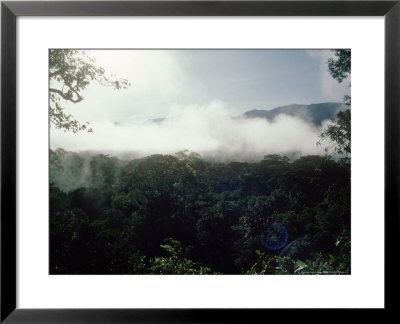 Mulu National Park, Borneo, Weather Time-Lapse, 8Am by Rodger Jackman Pricing Limited Edition Print image