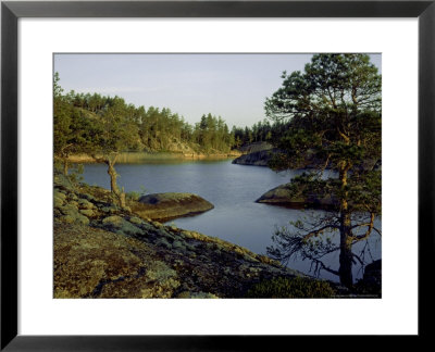 Evening Light In Lake District, Middle Finland by Heikki Nikki Pricing Limited Edition Print image