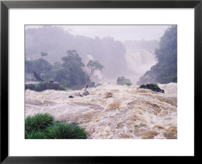 Iguassu Waterfall, Where Iguacu River Forms Brazil/Argentina Border by Richard Packwood Pricing Limited Edition Print image