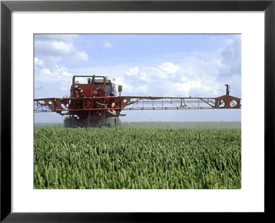 Agriculture, Machine Crop Spraying With Pesticides In East Anglia by Chris Sharp Pricing Limited Edition Print image
