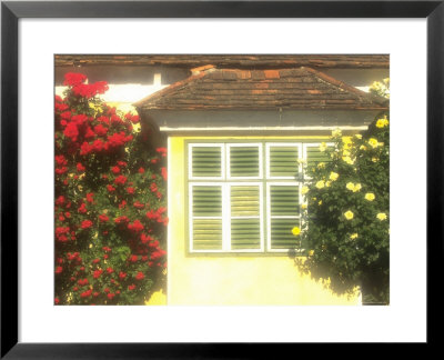 Flowers Near Colorful Home, Burgenland, Austria by Walter Bibikow Pricing Limited Edition Print image