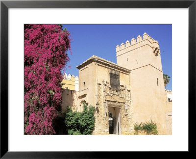 Alcazar, Seville, Spain by David Ball Pricing Limited Edition Print image