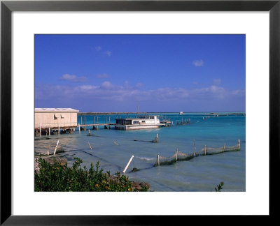 Conch Farm, Turks & Caicos Islands by Timothy O'keefe Pricing Limited Edition Print image
