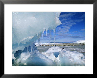 View Through An Icy Pressure Ridge Of Emperor Penguin Colony On Weddell Sea, Dawson Lambton Glacier by David Tipling Pricing Limited Edition Print image