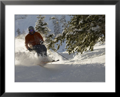 Man Skiing Off-Piste Between Trees At Solitude Mountain Resort, Utah, Usa by Mike Tittel Pricing Limited Edition Print image