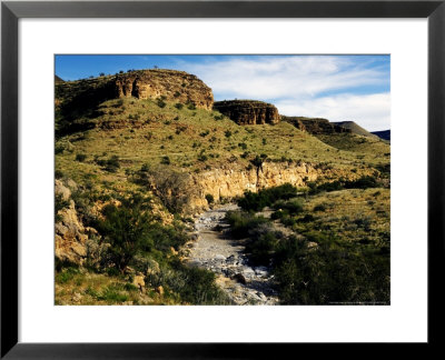 Scenery Of The Naukluft Mountains, Namibia by Ariadne Van Zandbergen Pricing Limited Edition Print image