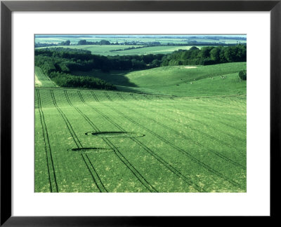 Crop Circles, Hants, Uk by Ian West Pricing Limited Edition Print image