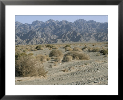 Southeast Area Of The Taklamakan Desert, Xinjiang, China by Occidor Ltd Pricing Limited Edition Print image