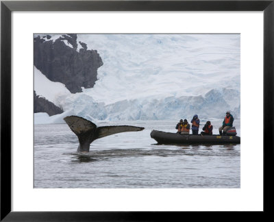Visitors Get Close-Up View Of Humpback Whales In Cierva Cove, Gerlache Strait, Antarctic Peninsula by Hugh Rose Pricing Limited Edition Print image
