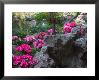 Flowers And Rocks In Traditional Chinese Garden, China by Keren Su Pricing Limited Edition Print image