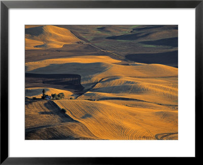 Wheat Fields, Palouse Region, Washington State, Usa by Walter Bibikow Pricing Limited Edition Print image