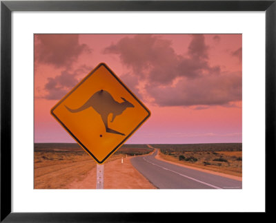 Road Sign, Shark Bay National Park, Western Australia, Australia by Doug Pearson Pricing Limited Edition Print image