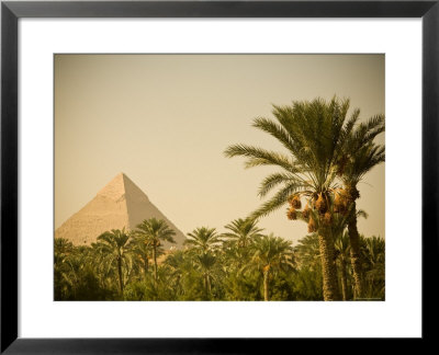 Pyramids At Giza, Cairo, Egypt by Doug Pearson Pricing Limited Edition Print image