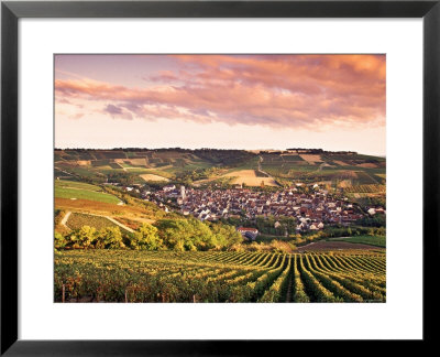 Irancy, Chablis, Burgundy, France by Doug Pearson Pricing Limited Edition Print image