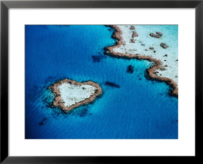 Heart-Shaped Reef, Hardy Reef, Near Whitsunday Islands, Great Barrier Reef, Queensland, Australia by Holger Leue Pricing Limited Edition Print image