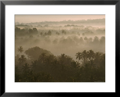 Early Morn Fog Lies Over Old Goa Landscape, India by James L. Stanfield Pricing Limited Edition Print image