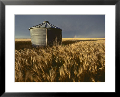 Wheat Field With Stormy Sky Above, Kansas by Brimberg & Coulson Pricing Limited Edition Print image
