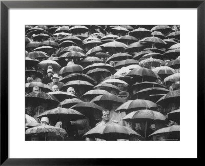 Fans, Sitting In Rain, At Purdue Homecoming Game by Francis Miller Pricing Limited Edition Print image