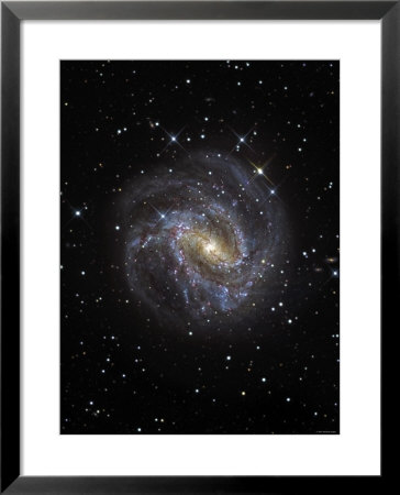 The Southern Pinwheel Galaxy by Stocktrek Images Pricing Limited Edition Print image