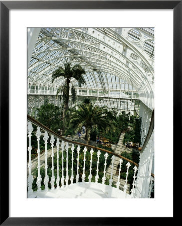 Interior Of The Temperate House, Restored In 1982, Kew Gardens, Greater London by Richard Ashworth Pricing Limited Edition Print image