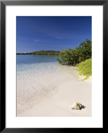 Lanqui, Los Roques, Venezuela, South America by Sergio Pitamitz Pricing Limited Edition Print image