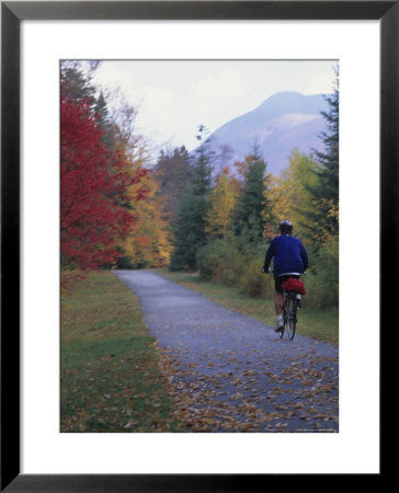 Man Riding On Paved Trail, Franconia Notch, New Hampshire, Usa by John & Lisa Merrill Pricing Limited Edition Print image